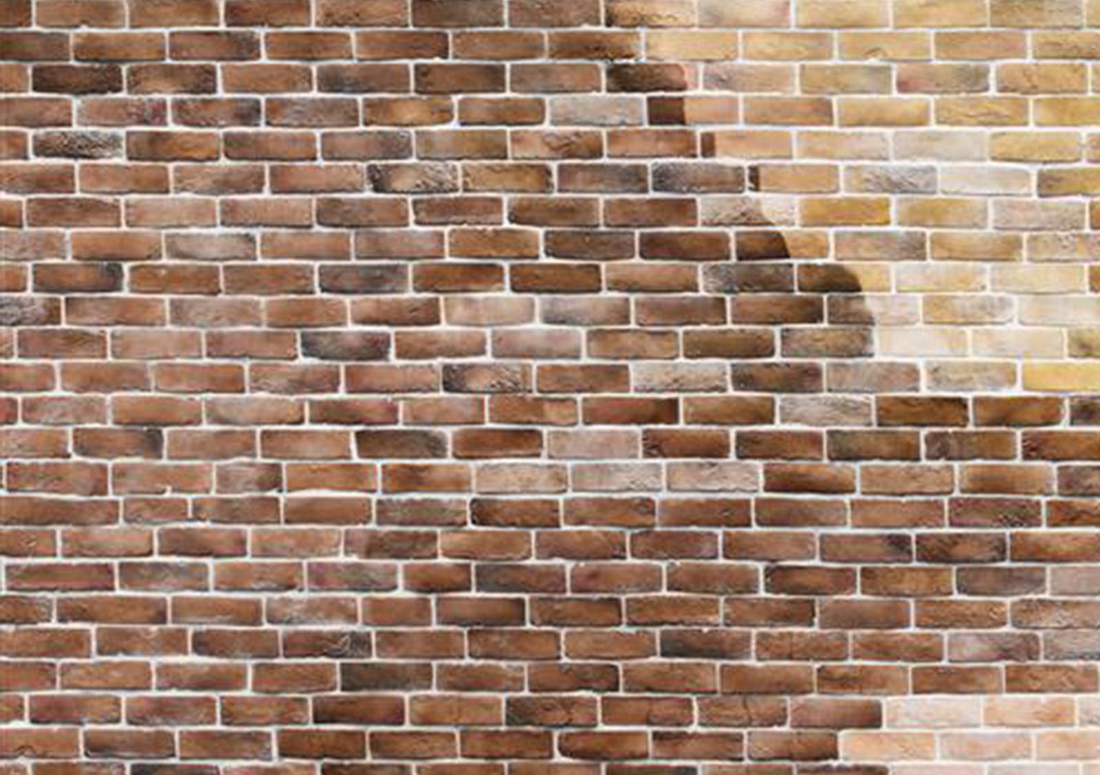 BRICK TINTING